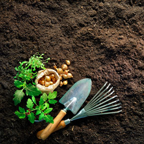 premium-organic-topsoil-county-durham